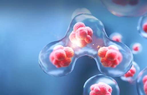 各大细胞库查询信息